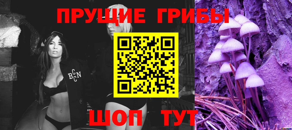 Галлюциногенные грибы Cubensis Куйбышев