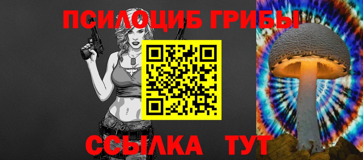 Псилоцибиновые грибы Psilocybe  где найти   Куйбышев  Вход с VPN 